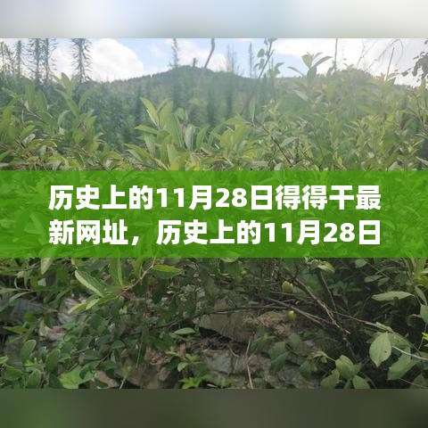 admin 第13页