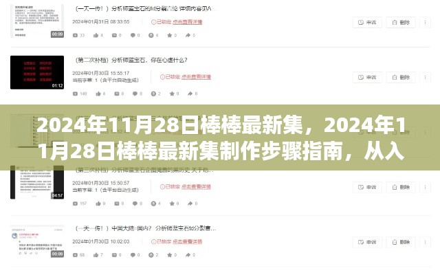 2024年11月28日棒棒最新集制作指南，从入门到精通