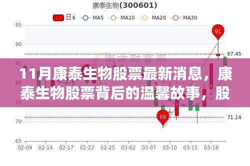 康泰生物股票最新动态，股市背后的友情交响与温馨故事揭秘