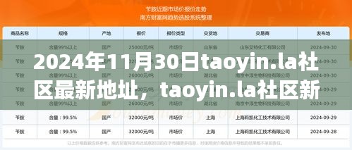 2024年11月30日taoyin.la社区新址展望，机遇与挑战并存