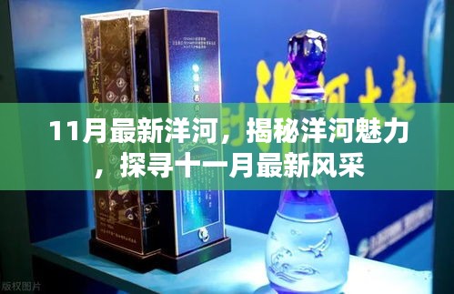 揭秘洋河魅力，十一月最新风采展示