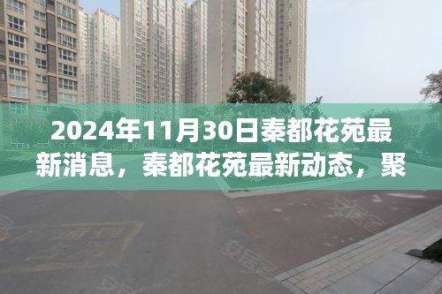 秦都花苑最新动态揭晓，2024年11月30日的最新消息与观点争议聚焦