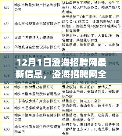 澄海招聘网全新升级，科技引领招聘变革，体验未来招聘之旅（最新信息）