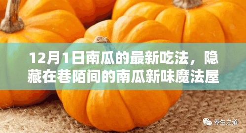 12月1日南瓜新味魔法屋，探秘南瓜盛宴的隐藏魅力