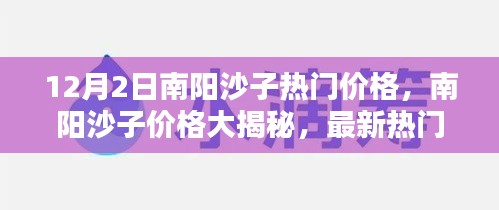 南阳沙子最新热门价格揭秘，12月2日报价大放送