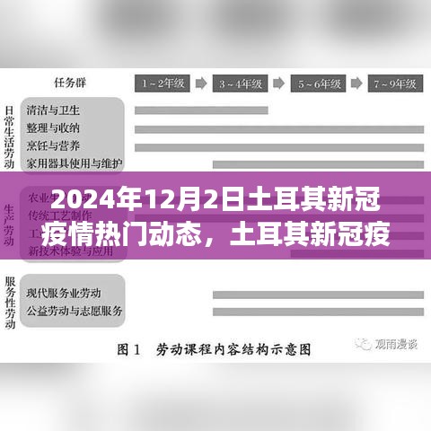 2024年12月2日土耳其新冠疫情最新进展与热门动态详解