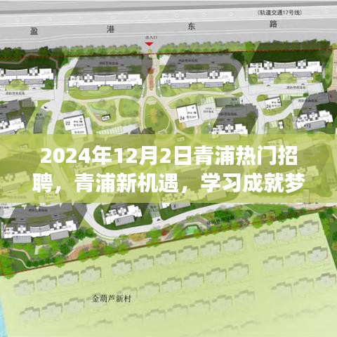 2024年12月2日青浦热门招聘启幕，新机遇助力学习成就梦想