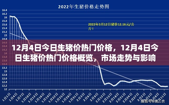 12月4日生猪价热门概览，深度解析市场走势与影响因素