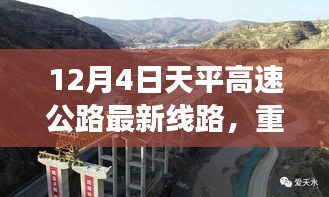 花开无言 第4页