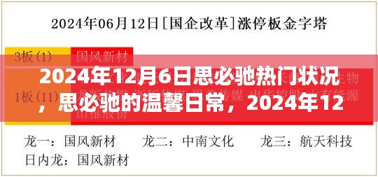 思必驰温馨日常，揭秘2024年12月6日的奇妙时光