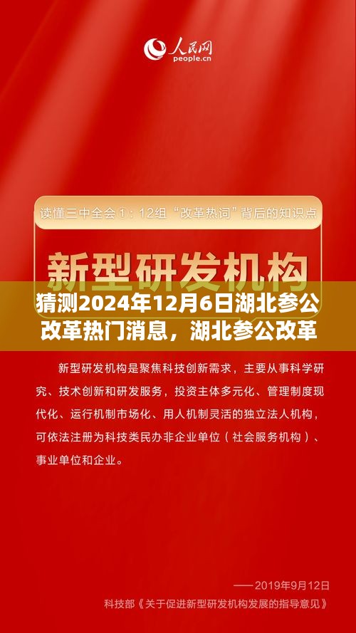 湖北参公改革展望，深度解析热门消息，预测未来趋势至2024年12月6日