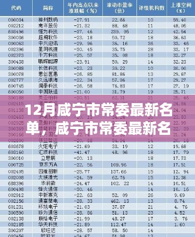 12月咸宁市常委最新名单，咸宁市常委最新名单科技新品亮相，智能时代，革新未来体验