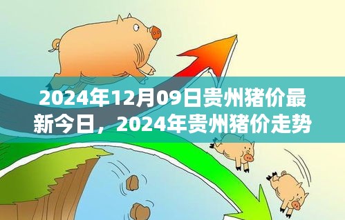 2024年贵州猪价走势分析与深度探讨，最新今日猪价及未来趋势