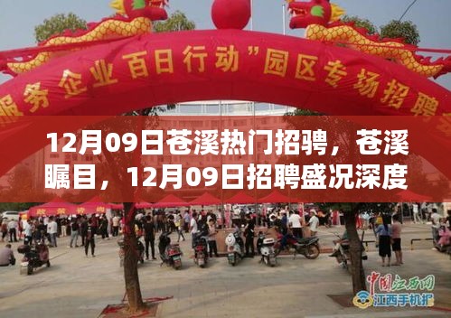 12月09日苍溪热门招聘盛况深度解析，瞩目的人才市场概览