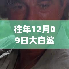 揭秘，往年12月09日大白鲨实时位置追踪与海洋探险科技的交融点。