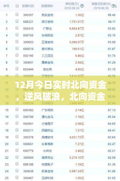 北向资金启示下的成长奇迹，12月实时洞察，自信成就梦想之旅