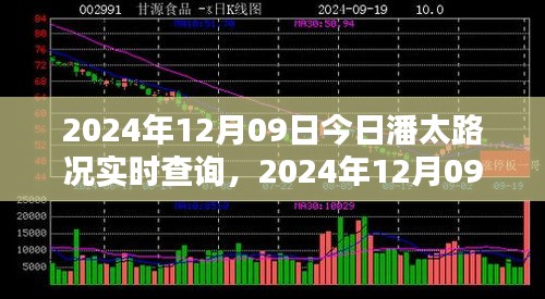 2024年12月09日潘太路实时路况查询报告