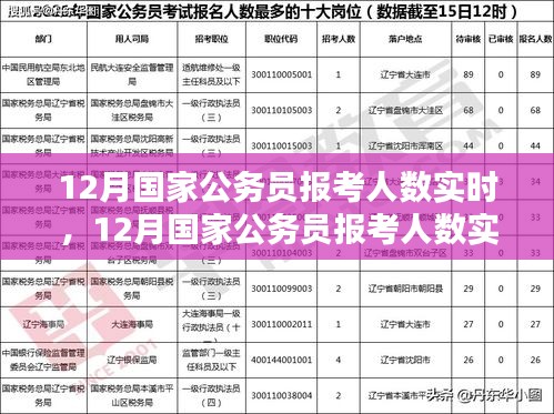 12月国家公务员报考人数实时分析与趋势探讨，数据、策略一览