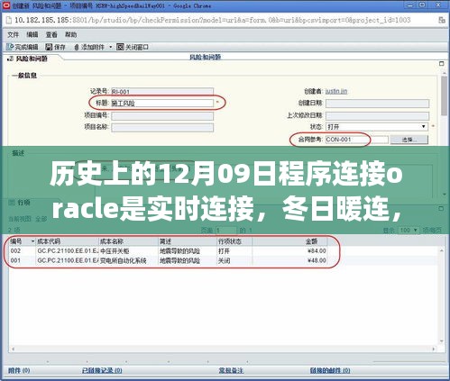 我与Oracle的实时缘分，历史中的暖心连接与冬日数据库温情故事