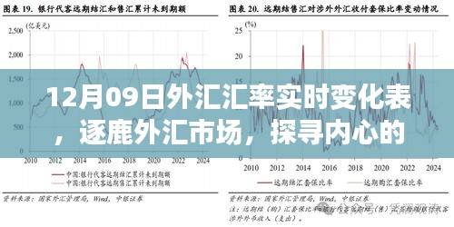 揭秘外汇市场风云变幻，探寻汇率背后的故事——12月09日外汇汇率实时变化表解析