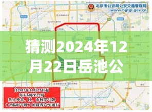 岳池公交路线探秘之旅，预测2024年岳池公交实时路线表及奇遇体验分享