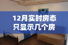 解决策略，针对12月实时房态仅显示有限房间号问题的策略与建议