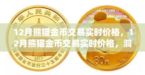 12月熊猫金币实时交易价格，洞悉市场动态，把握投资机会