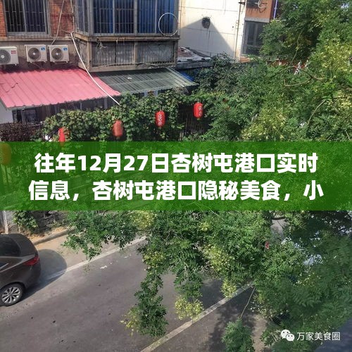 杏树屯港口，美食秘境与实时信息的探索之旅