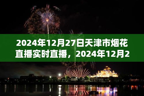 天津市烟花直播盛宴，实时观赏指南与直播回顾