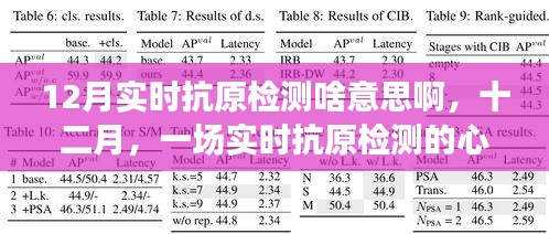 十二月实时抗原检测，心灵净化之旅的启程