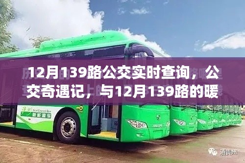 12月139路公交车，暖心之旅的实时奇遇记