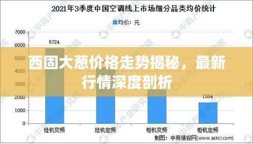 西固大葱价格走势揭秘，最新行情深度剖析