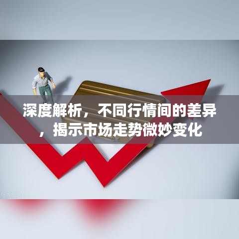 深度解析，不同行情间的差异，揭示市场走势微妙变化