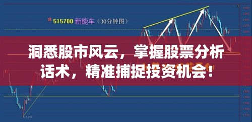 洞悉股市风云，掌握股票分析话术，精准捕捉投资机会！