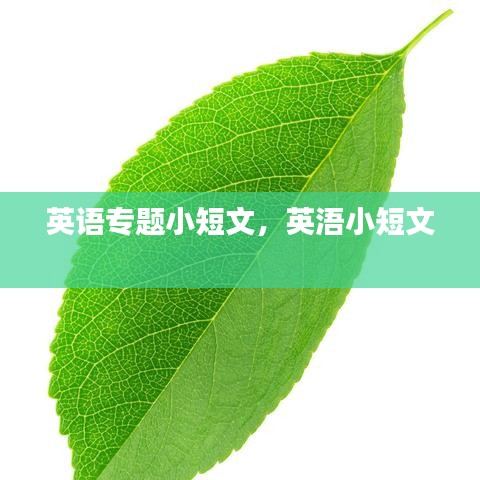 英语专题小短文，英浯小短文 