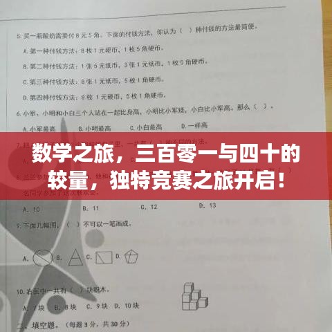 数学之旅，三百零一与四十的较量，独特竞赛之旅开启！