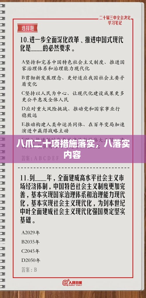 八爪二十项措施落实，八落实内容 