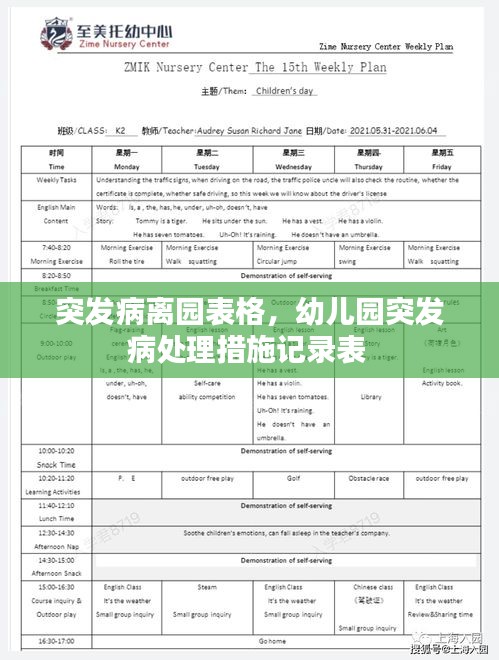 突发病离园表格，幼儿园突发病处理措施记录表 