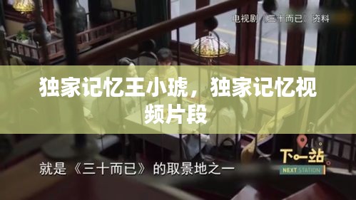 独家记忆王小琥，独家记忆视频片段 