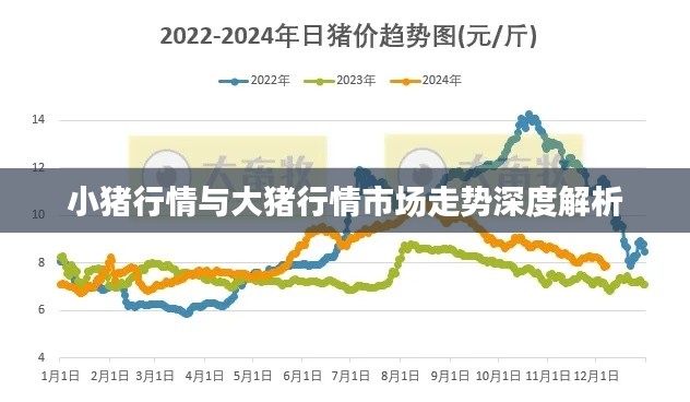 小猪行情与大猪行情市场走势深度解析