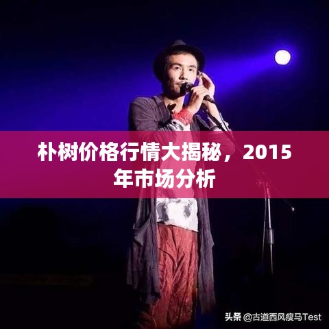 朴树价格行情大揭秘，2015年市场分析