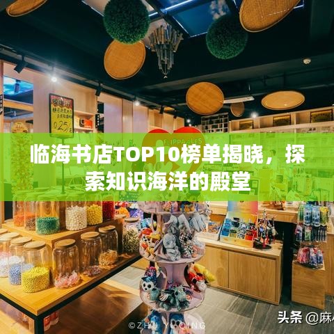 临海书店TOP10榜单揭晓，探索知识海洋的殿堂