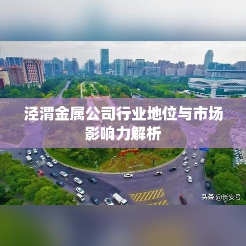 泾渭金属公司行业地位与市场影响力解析