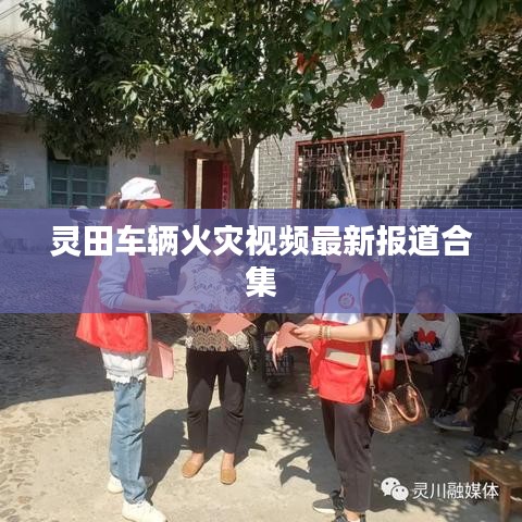 灵田车辆火灾视频最新报道合集