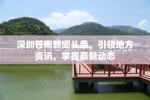 深圳苍南新闻头条，引领地方资讯，掌握最新动态