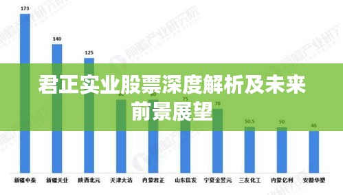 君正实业股票深度解析及未来前景展望