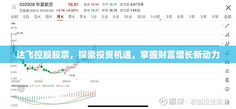 达飞控股股票，探索投资机遇，掌握财富增长新动力