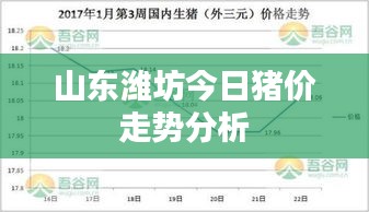 山东潍坊今日猪价走势分析