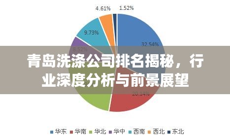 青岛洗涤公司排名揭秘，行业深度分析与前景展望