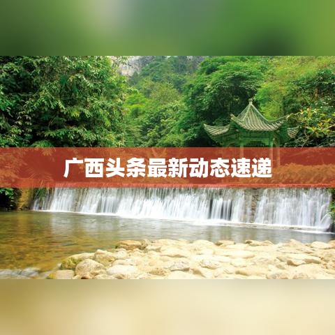 广西头条最新动态速递